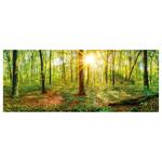 Leinwandbild Deep Forest Polyester PVC / Fichtenholz - Grün / Braun