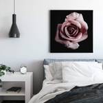 Leinwandbild Single Rose Polyester PVC / Fichtenholz - Pink / Schwarz