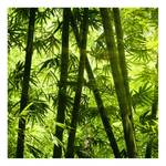 Bamboo Leinwandbild Forest