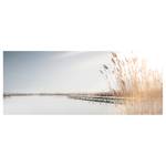 Leinwandbild See Reeds On The Lake Polyester PVC / Fichtenholz - Blau / Beige