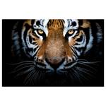 Leinwandbild Eyes Of A Tiger Polyester PVC / Fichtenholz - Braun / Weiß