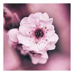 Leinwandbild Flowerage Polyester PVC / Fichtenholz - Pink