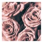 Afbeelding Roses Vintage polyester PVC/sparrenhout - roze