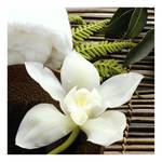 Impression sur toile Orchidee Floral Polyester PVC / Épicéa - Blanc / Vert