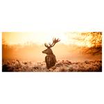 Leinwandbild Majestic Deer Polyester PVC / Fichtenholz - Orange / Braun