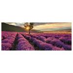 Wandbild Lavendelfeld Polyester PVC / Fichtenholz - Lila