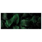 Impression sur toile Leaves Background Polyester PVC / Épicéa - Vert / Noir