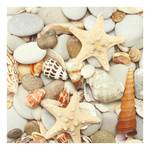 Impression sur toile Shell And Stone Polyester PVC / Épicéa - Beige