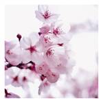 Leinwandbild Cherry Blossom Polyester PVC / Fichtenholz - Pink / Weiß