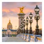 Impression sur toile Pont Alexandre Polyester PVC / Épicéa - Beige / Doré