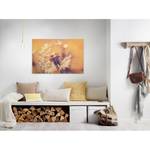 Impression sur toile Dandelion Polyester PVC / Épicéa - Orange / Jaune