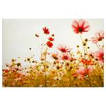 Leinwandbild Flower Meadow Polyester PVC / Fichtenholz - Rot / Grün