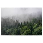 Tableau déco Forêt dans le brouillard Polyester PVC / Épicéa - Vert / Blanc