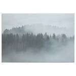 Leinwandbild Nebliger Misty Forest Polyester PVC / Fichtenholz - Grau / Weiß