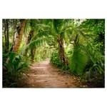 Leinwandbild Jungle Palm Walk Polyester PVC / Fichtenholz - Grün / Braun