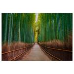 Leinwandbild Bambus Walk Polyester PVC / Fichtenholz - Grün / Braun