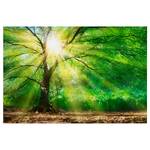 Wandbild Forest Light Polyester PVC / Fichtenholz - Grün / Braun