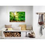 Wandbild Forest Light Polyester PVC / Fichtenholz - Grün / Braun