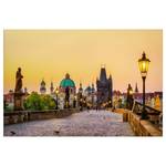 Impression sur toile Charles Bridge Polyester PVC / Épicéa - Jaune / Beige