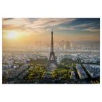 Impression sur toile Paris Eiffel Tower Polyester PVC / Épicéa - Gris / Vert