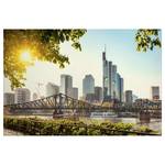 Afbeelding Frankfurt City polyester PVC/sparrenhout - grijs/groen