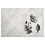 Leinwandbild Floral Polyester PVC / Fichtenholz - Grau / Schwarz