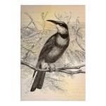 Leinwandbild Vogel Vintage Birds Polyester PVC / Fichtenholz - Gelb / Schwarz