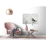 Afbeelding Vogel Sketchpad Tier polyester PVC/sparrenhout - grijs/zwart