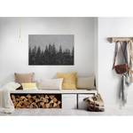 Canvas con foresta Black Forest Poliestere PVC / Legno di abete rosso - Grigio