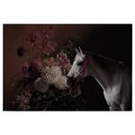 Leinwandbild Pferd & Blumen Polyester PVC / Fichtenholz - Schwarz / Rot