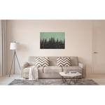Leinwandbild Black Forest Polyester PVC / Fichtenholz - Grün