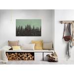 Leinwandbild Black Forest Polyester PVC / Fichtenholz - Grün