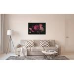 Impression sur toile Blumen Drama Queen Polyester PVC / Épicéa - Rose