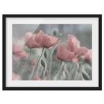 Bild Malerische Mohnblumen II Papier / Kiefer - Pink - 70 x 50 cm