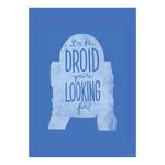 Wandbild Star Wars Silhouette R2D2 Blau / Weiß - Papier - 50 cm x 70 cm