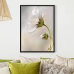 Bild Himmlischer Blütentraum V Papier / Kiefer - Beige - 70 x 100 cm