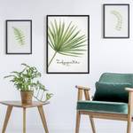 Poster e cornice con pianta Trachycarpus Carta / Pino - Bianco - 50 x 70 cm