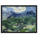 Bild Vincent van Gogh Olivenbäume I Papier / Kiefer - Blau