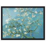 Tableau Van Gogh Amandier en fleurs Papier / Pin - Bleu - 100 x 70 cm