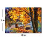 Afbeelding Hot Springs leer/houten plaat - meerdere kleuren - 70 cm x 100 cm