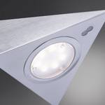 LED-verlichting Theo I polycarbonaat/roestvrij staal - 3 lichtbronnen