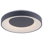 LED-plafondlamp Anika acrylglas/metaal - 1 lichtbron
