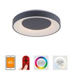 LED-Deckenleuchte Anika Acrylglas / Metall - 1-flammig