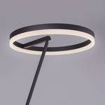 Staande LED-lamp Titus Acrylglas / ijzer - 1 lichtbron