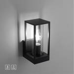 Wandlamp Emil transparant glas / ijzer - 1 lichtbron