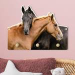 Appendiabiti Cavallo coccoloso Marrone - Legno massello - 40 x 30 x 1.5 cm