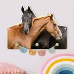 Kinderkapstok Paarden Knuffelen Meerdere kleuren