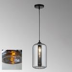 Hanglamp Dex I glas/ijzer - 1 lichtbron