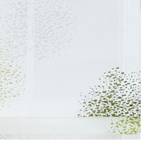 Rolgordijn Bellinda Geweven stof - Groen - 80 x 140 cm