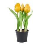 Tulpen Real Touch Topf FLORISTA PVC / Eisendraht / Polyethylen / Foam (Schaumstoff) - Gelb